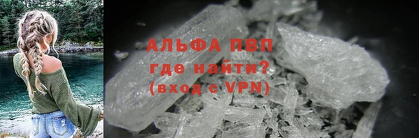 шишки Белокуриха