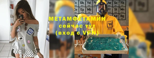 шишки Белокуриха