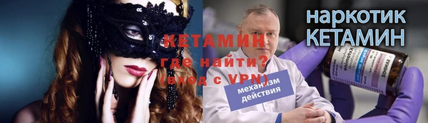 шишки Белокуриха