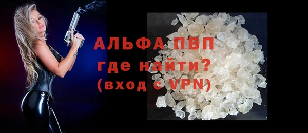 ГАЛЛЮЦИНОГЕННЫЕ ГРИБЫ Богданович
