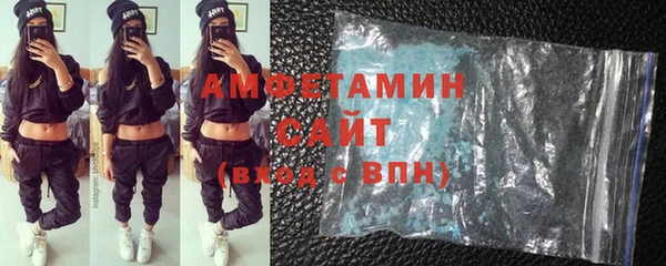 ГАЛЛЮЦИНОГЕННЫЕ ГРИБЫ Богданович