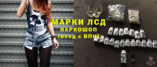 шишки Белокуриха
