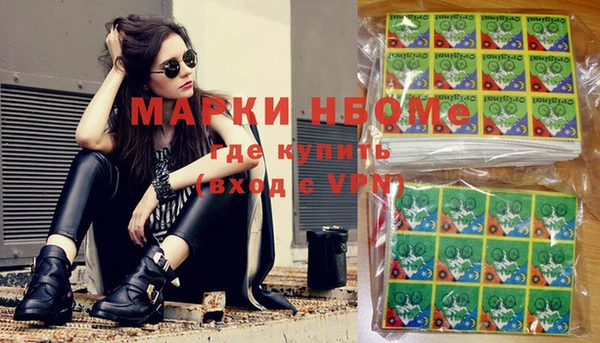 шишки Белокуриха