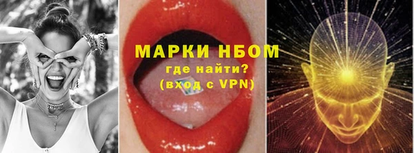 ГАЛЛЮЦИНОГЕННЫЕ ГРИБЫ Богданович