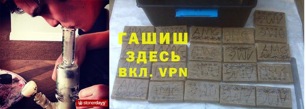 шишки Белокуриха