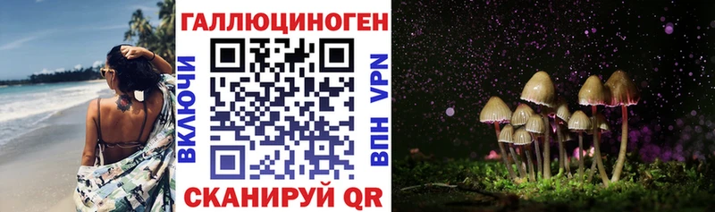 Псилоцибиновые грибы Cubensis  omg зеркало  darknet клад  Богородицк 
